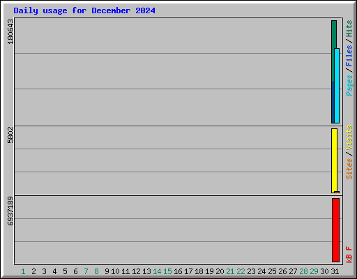 Daily usage for December 2024