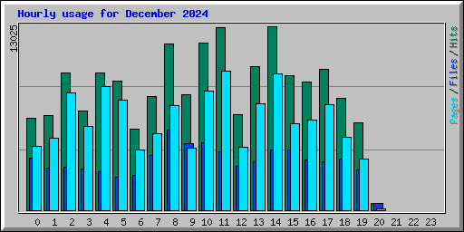 Hourly usage for December 2024