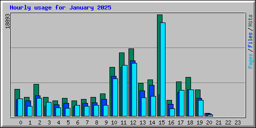 Hourly usage for January 2025