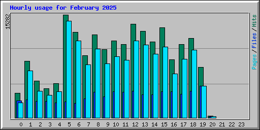 Hourly usage for February 2025