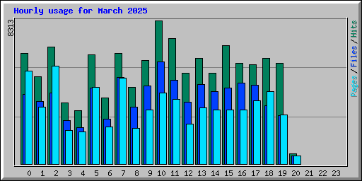 Hourly usage for March 2025