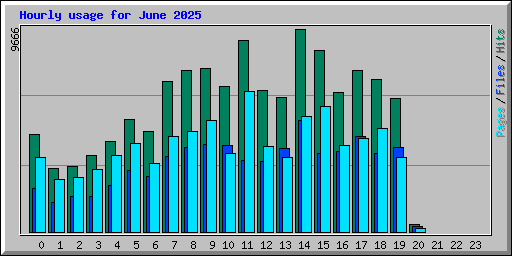 Hourly usage for June 2025