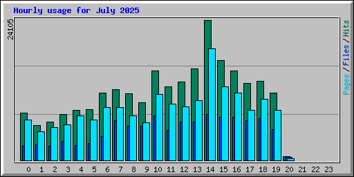 Hourly usage for July 2025